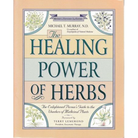 The Healing Power of Herbs