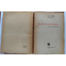 Il diritto industriale