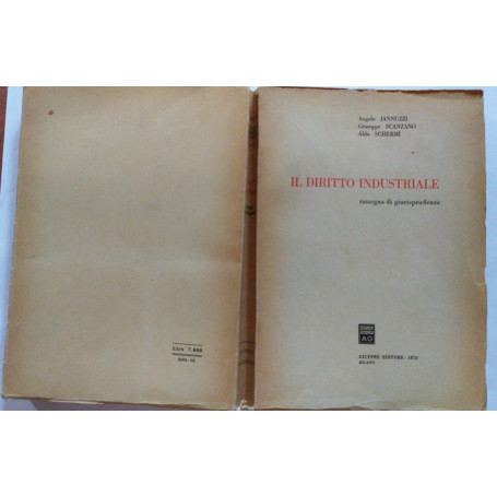 Il diritto industriale