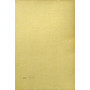 volume 10: Delle contravvenzioni in specie