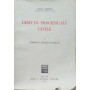 Diritto Processuale Civile