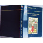 Diritto e processo