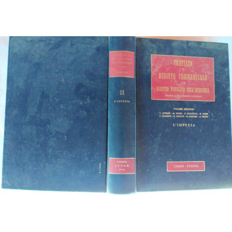 Trattato di diritto commerciale e di diritto pubblico dell'economia. Volume II: L'impresa