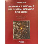 Anatomia funzionale del sistema nervoso dell'uomo