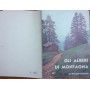 Gli alberi di montagna