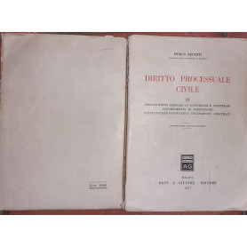 Diritto processuale civile Volume III