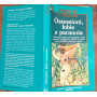 Ossessioni
