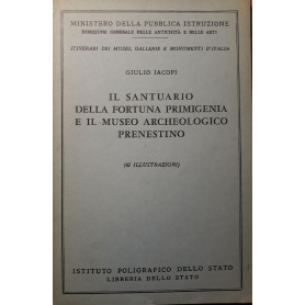 Il Santuario della Fortuna Primigenia e il Museo archeologico Prenestino (61 illustrazioni)