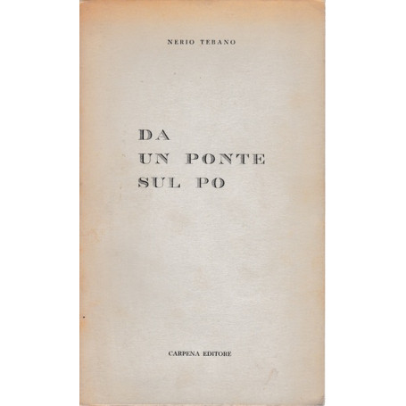 Da un ponte sul Po