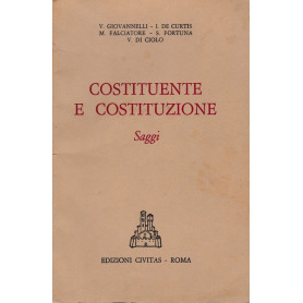 Costituente e costituzione. Saggi
