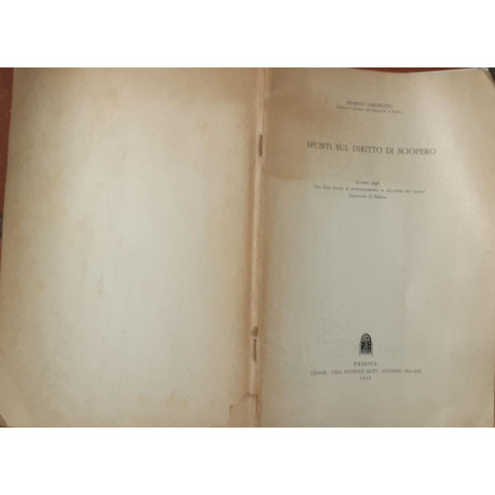 Spunti sul diritto di sciopero