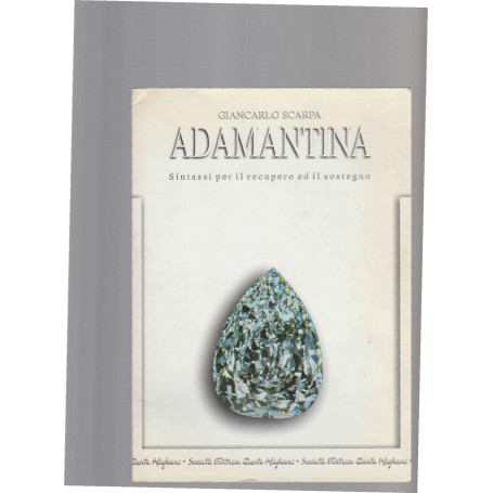 Adamantina. Sintassi per il recupero ed il sostegno. Per i Licei e gli Ist. magistrali (Vol. 4)