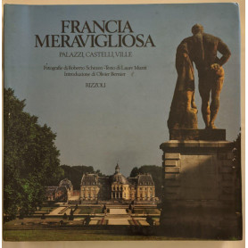 Francia meravigliosa: castelli