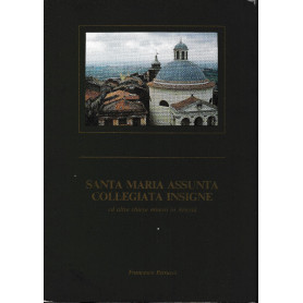 Santa Maria Assunta Collegiata Insigne ed altre chiese minori in Ariccia