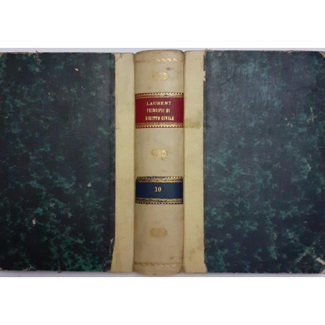 Principi di diritto civile Volume X