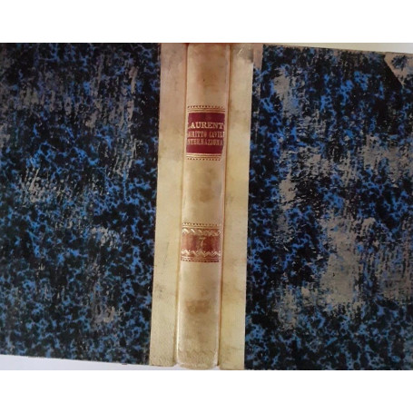 Diritto civile internazionale Volume VII