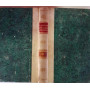 Diritto civile internazionale Volume V