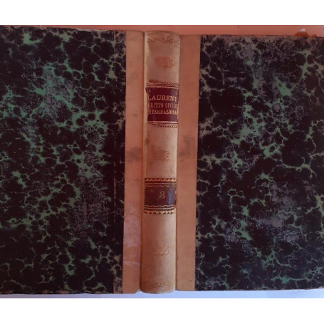 Diritto civile internazionale Volume III