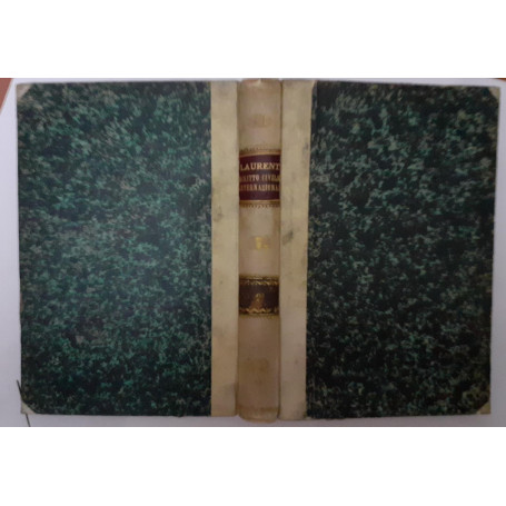 Diritto civile internazionale Volume I