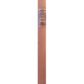 Storia di Fra Michele Minoria
