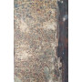 tomo II