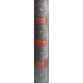 Trame d'oro: enciclopedia di letteratura narrativa (volume sesto)