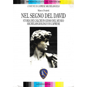 Nel segno del David : storia dei calchi in gesso del museo michelangiolesco di Caprese