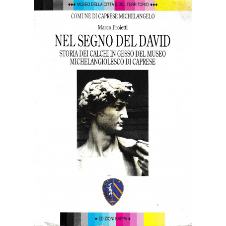 Nel segno del David : storia dei calchi in gesso del museo michelangiolesco di Caprese