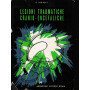 Lesioni traumatiche cranio-encefaliche