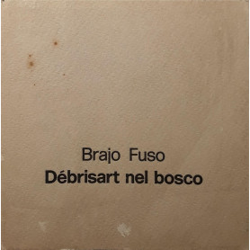 Brajo Fuso: Debrisart nel bosco