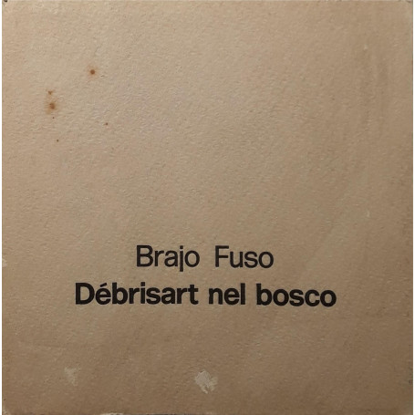 Brajo Fuso: Debrisart nel bosco