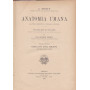 Anatomia umana. VII. Organi dei sensi.
