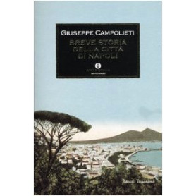 Breve storia della città  di Napoli