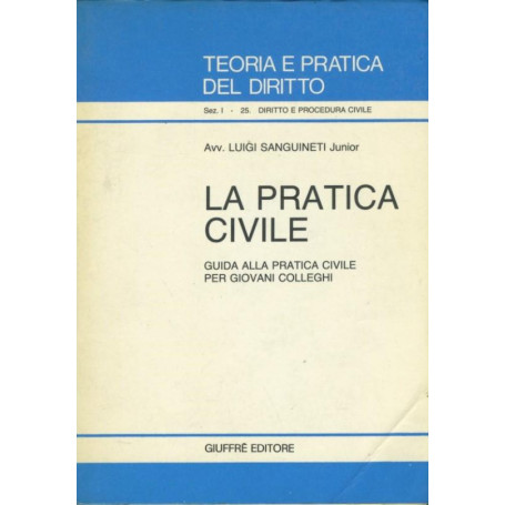 La pratica civile