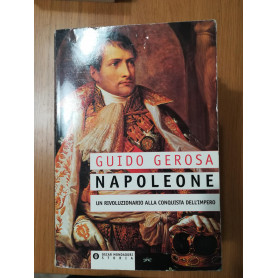 Napoleone : un rivoluzionario alla conquista del potere