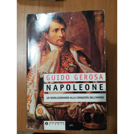 Napoleone : un rivoluzionario alla conquista del potere