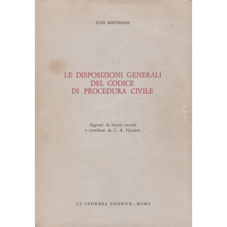 Le disposizioni generali del codice di procedura civile