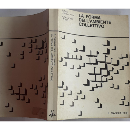 La forma dell'ambiente collettivo