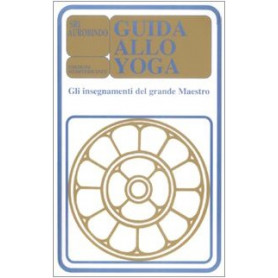 Guida allo yoga. Gli insegnamenti del grande maestro