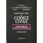 Commentario breve al Codice civile. Complemento giurisprudenziale. Appendice 2006