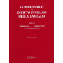 Commentario al diritto italiano della famiglia. Vol 2