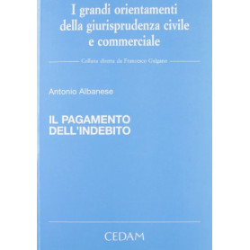 Il pagamento dell'indebito