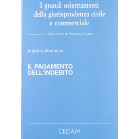 Il pagamento dell'indebito