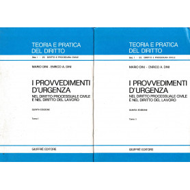 I provvedimenti d'urgenza nel diritto processuale civile e nel diritto del lavoro