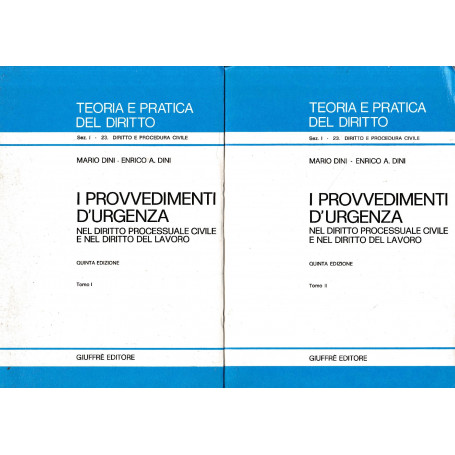 I provvedimenti d'urgenza nel diritto processuale civile e nel diritto del lavoro