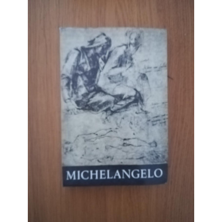 Michelangelo