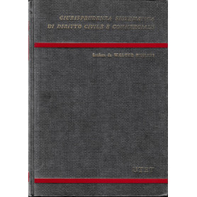 Giurisprudenza sistematica di diritto civile e commerciale.  Le successioni testamentarie (artt. 587-623 c.c.)