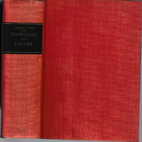 Traumatologia del lavoro