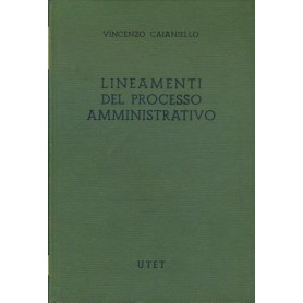 Lineamenti del processo amministrativo