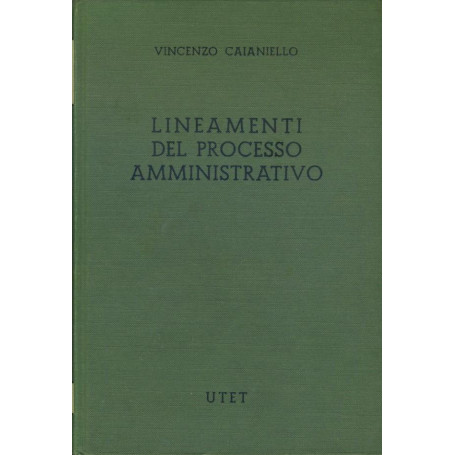 Lineamenti del processo amministrativo
